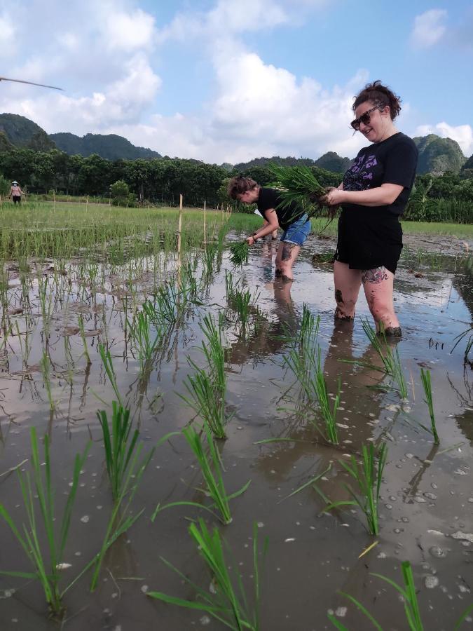 Tam Coc Lotus Flower Homestay Ninh Binh Exterior photo
